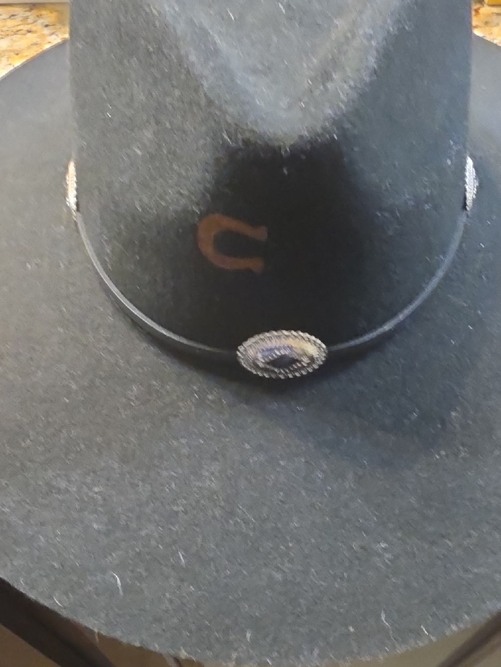 Charlie Horse Size S Black Felt Hat with Cream Logo Print Nwot